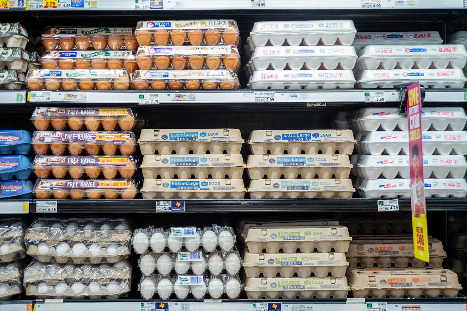 Egg prices could jump another 41% this year, USDA says, as Trump’s bird flu plan unveiled