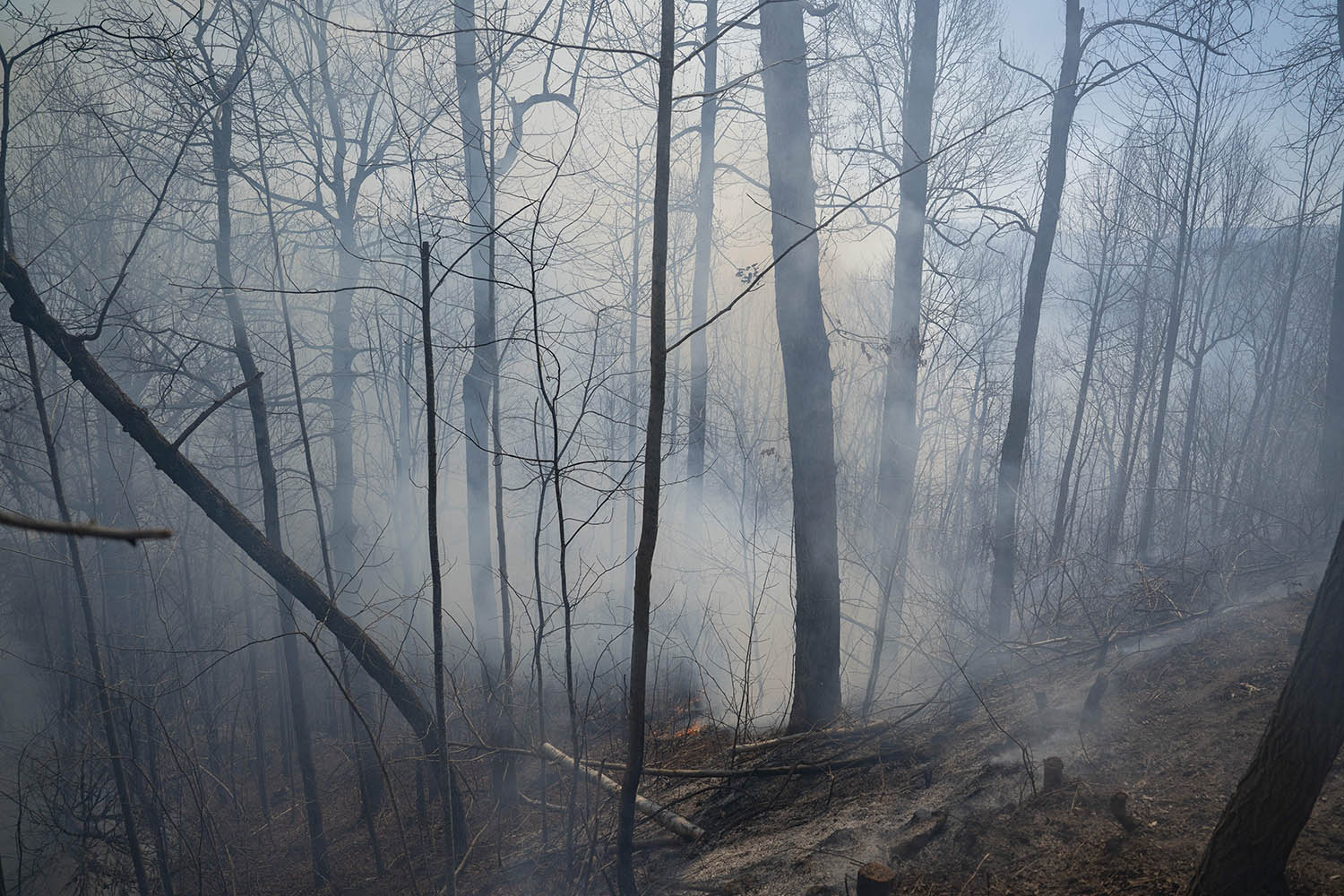 More evacuations as wildfires burn in the Carolinas. Forecasts aren’t encouraging for firefighters