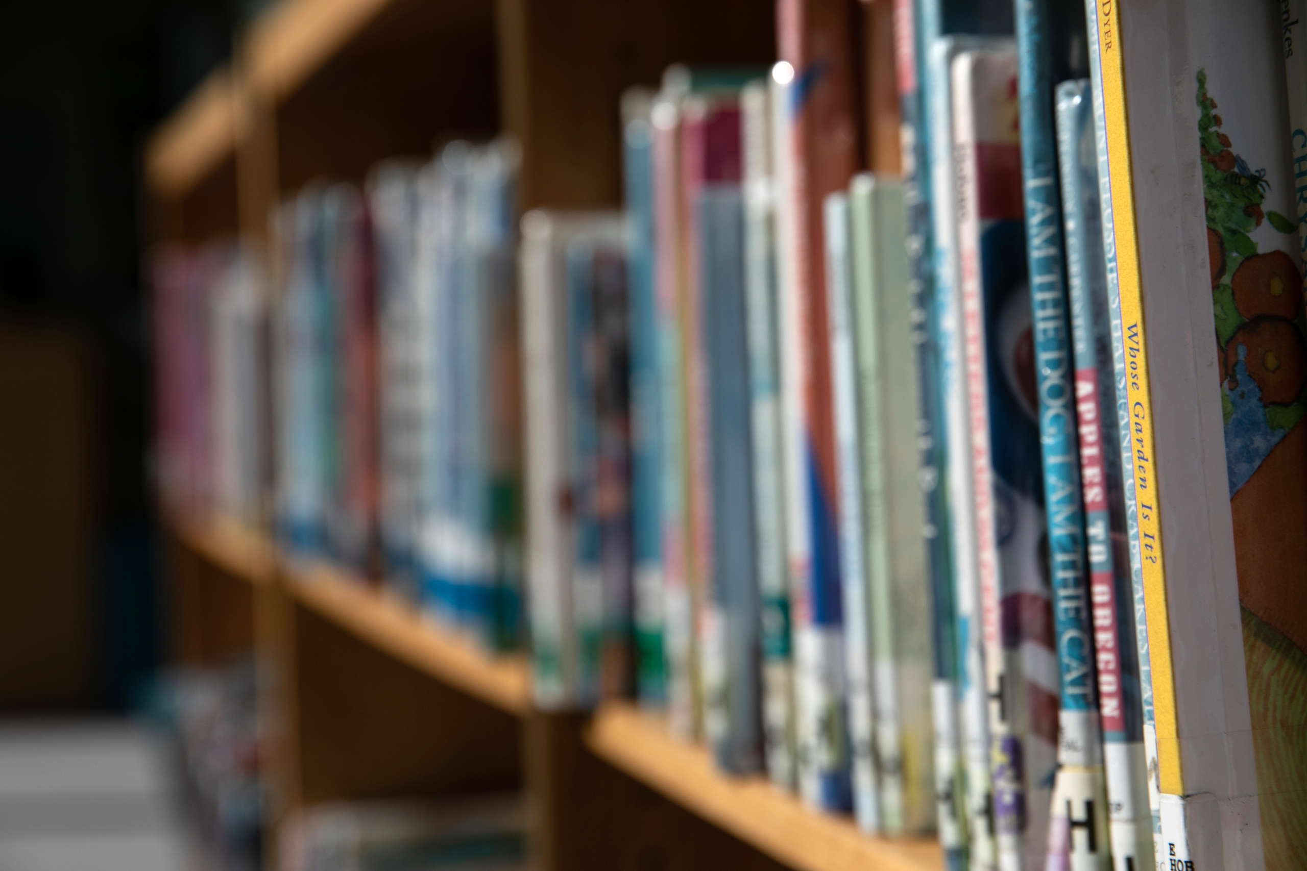 Proposed bill could remove thousands of books from NC public schools