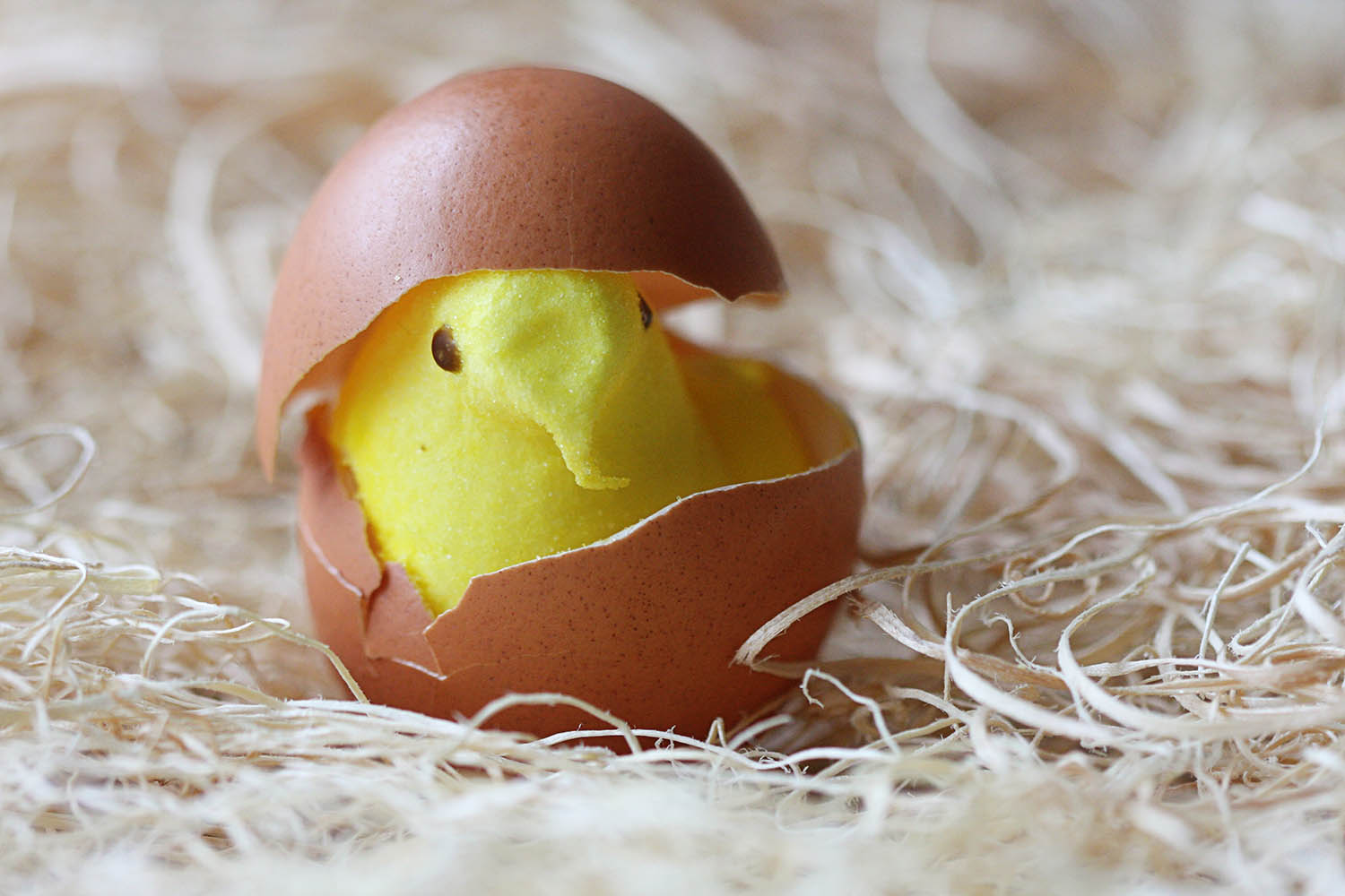 Go inside the factory where Peeps are made
