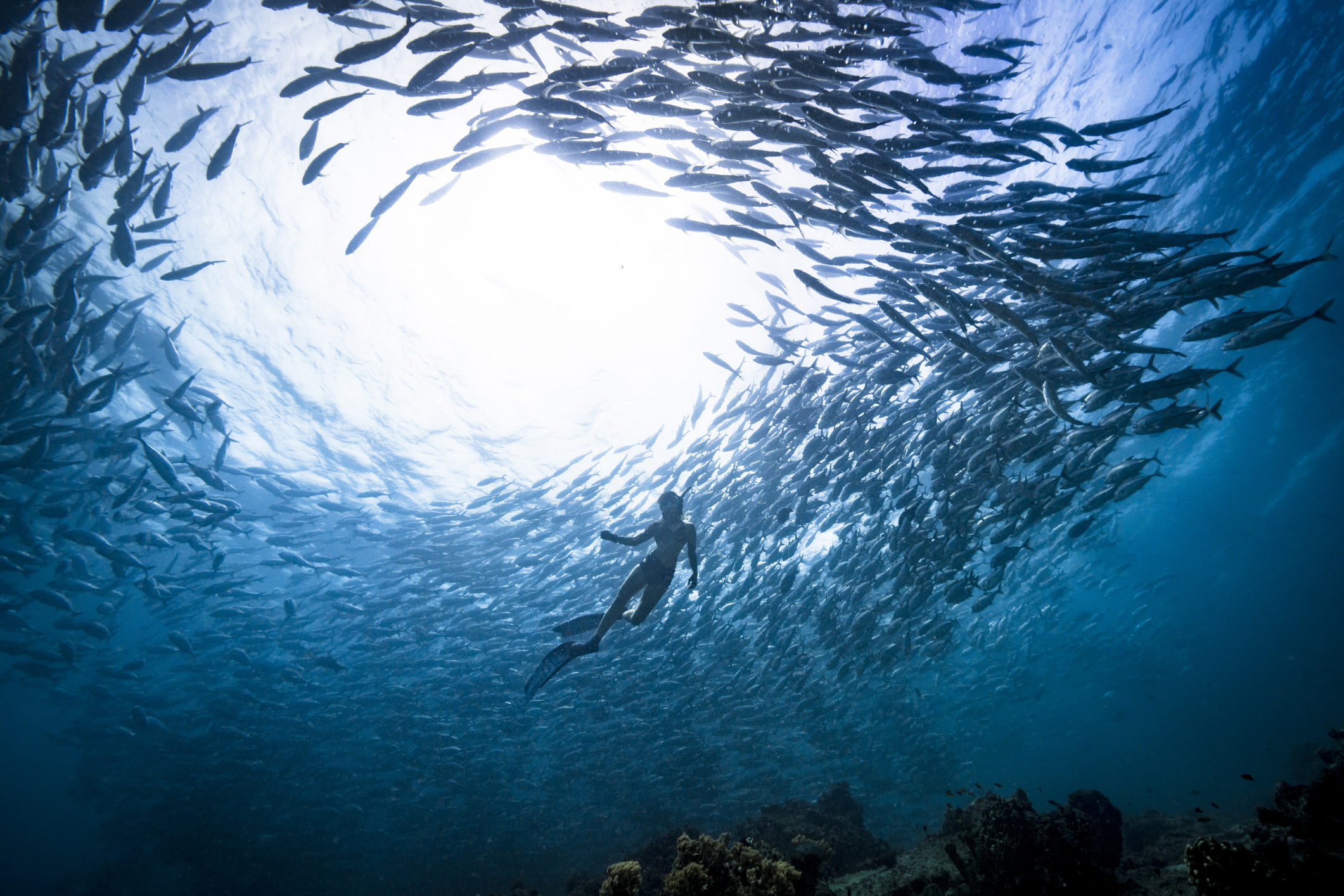 Generational survey uncovers surprising insights on how Americans connect with the ocean