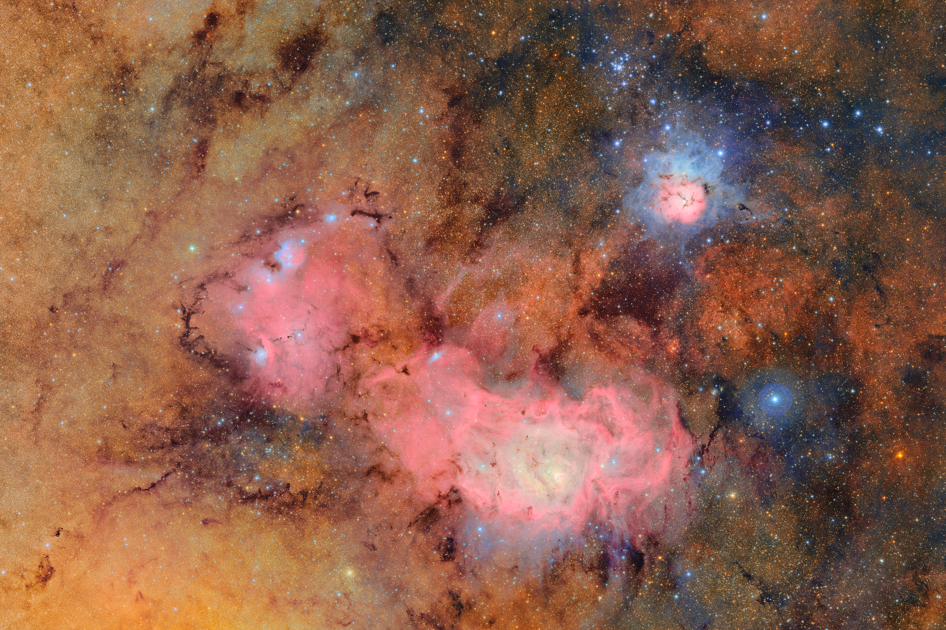 The largest digital camera ever built has released its first shots of the universe