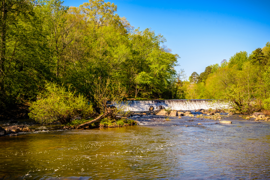 Durham’s Festival for the Eno returns with music, art and riverfront fun